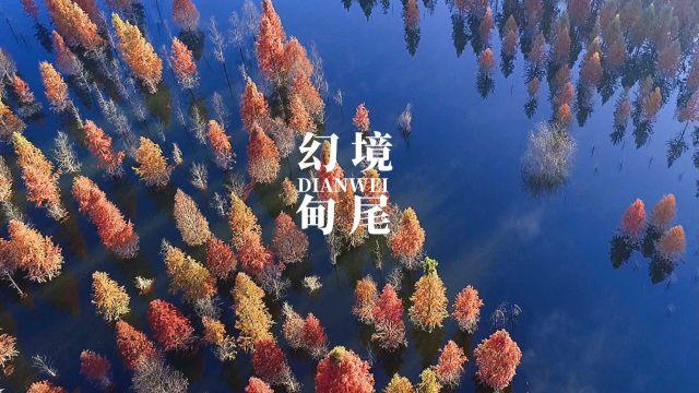 猫猫冒险团