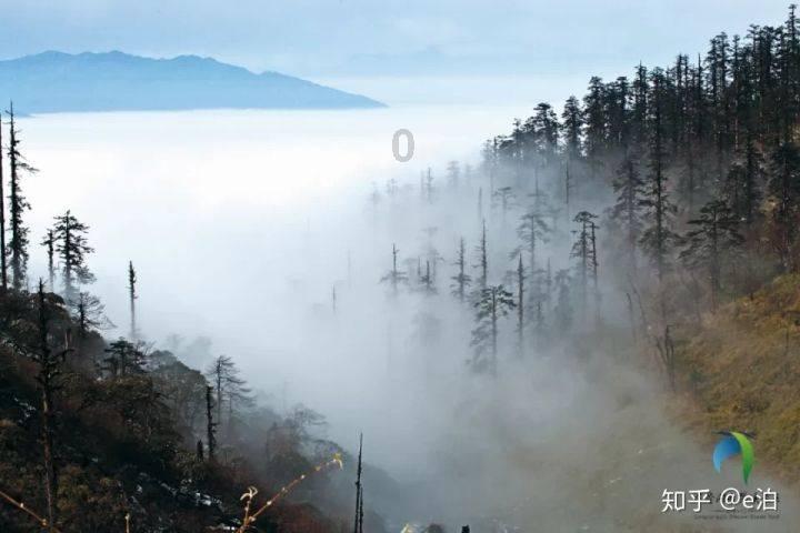 多重利好因素持续叠加 中国经济“破浪前行”有底气、有信心