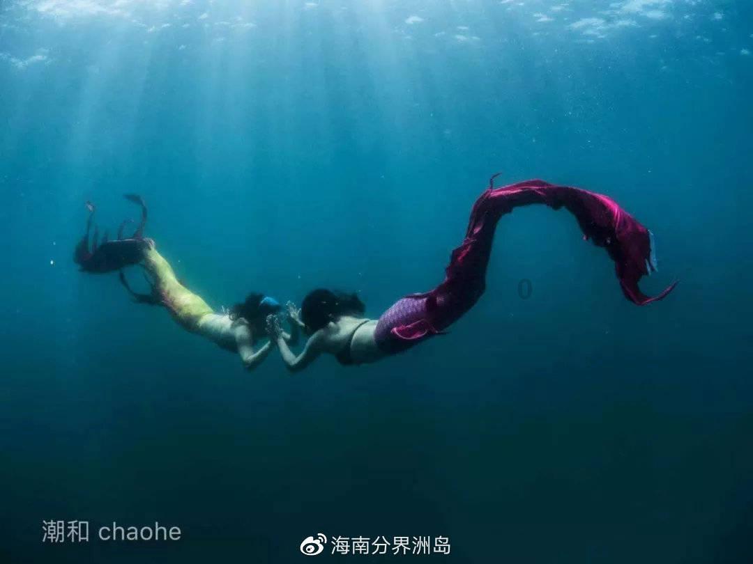 第八届中国残疾人冰雪运动季全国启动活动在哈举行