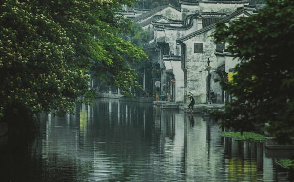 《探索知识星球平台,桂圆肉干怎么选?带您自由飞翔》