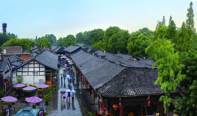 2024全省两会特别报道 政协会议分组协商国民经济和社会发展计划及预算报告